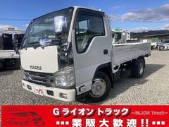 デュトロ 平ボディ・2t積・垂直ゲート・A/T・プリクラッシュ ・2t積・平・極東製垂直ゲート・V601B-4MRT2・昇降能力600kg・AT・プリクラ・レーンキープアシスト・ナビ・ETC・電格ミラー・フォグ・内寸 L3092 W1614 H377 中古車画像