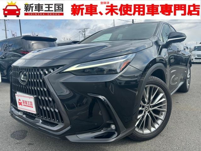 LEXUS NX NX250 VERSION L Best Japan Spec Recon Car for Import Malaysia
