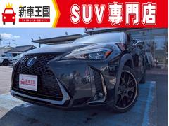 쥯գءգأ衡ƥݡġر֡롼