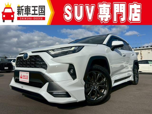 ȥ西 ң֣ ϥ֥åɣǡԣңĥե륨ѥΥޥ饤ǥ󥰥롼աѥΥߥåӥ塼˥