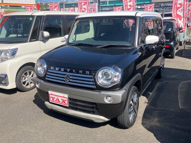  ϥ顼 ʥɣɡҳե륻ʥӡץꥯå塡ȥҡ