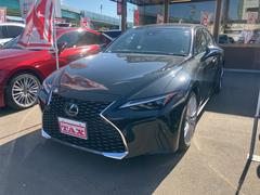 쥯ɣӡɣӣС̡ץȡɥ쥳