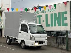 キャリイトラック  幌付き エアコン パワーステアリング 5速マニュアル ETC ラジオ ヘッドライトレベライザー 運転席エアバック 助手席エアバック 2人乗り 走行5.4万km 修復歴無し ドアバイザー 中古車画像