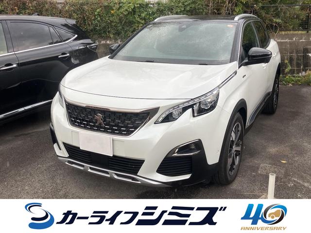 ץ硼  ɥ饤֥쥳ţԣáХå