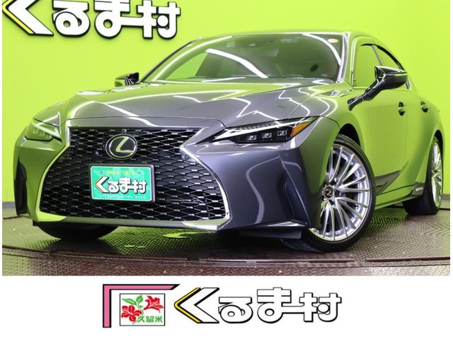 쥯 ɣ ɣӣ衡С̡ԣե륻ʥ