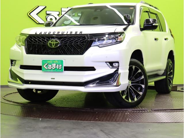 ȥ西 ɥ롼ץ ԣء;ꡡǥꥹҳ