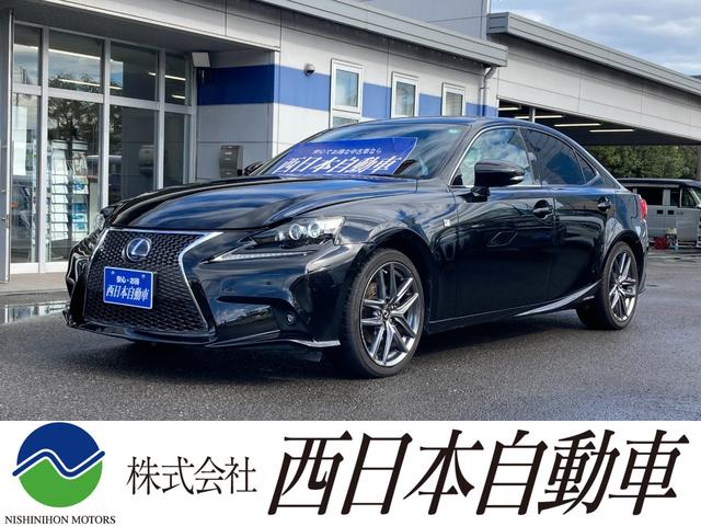 쥯 ɣ ɣӣ衡ƥݡġֳץȡʥ