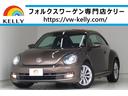 VOLKSWAGEN THE BEETLE