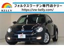 VOLKSWAGEN THE BEETLE