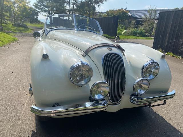 ＸＫ ＸＫ１２０　１９５４年モデル　サティフィケイト取得　ＸＫ１２０ロードスター（1枚目）