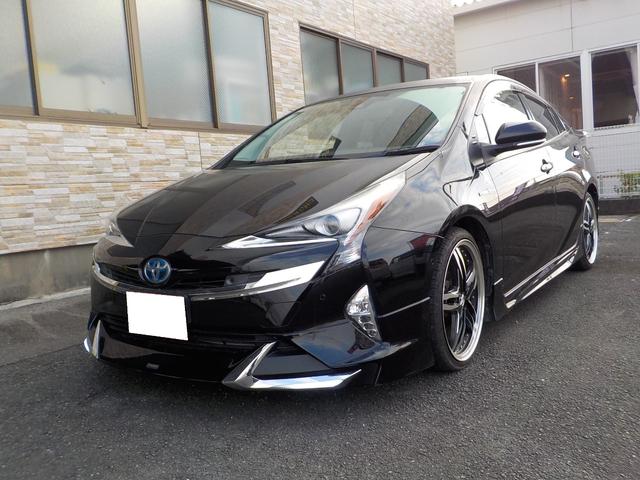 ȥ西 ץꥦ ġ󥰥쥯󡡥ѥ󣹷ʥӡե륻ԣ֡ǥꥹ