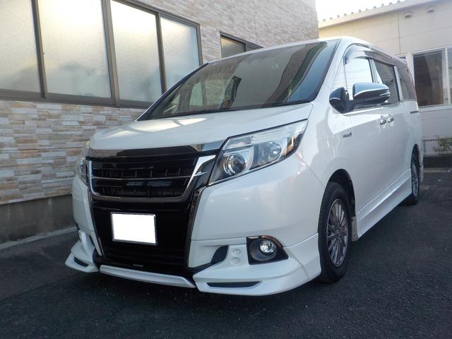 ȥ西  ϥ֥åɣǣ顡֥åơ顼ɡʥӡե륻ԣ