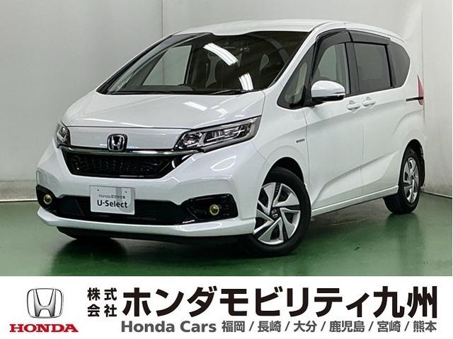 ե꡼ɥϥ֥å ϥ֥åɡǥۥ󥷥󥰡ҥ顡ã 0803618A30251106W001 1