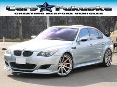 ＢＭＷ　Ｍ５　Ｍ５　Ｖ１０　５０００ｃｃ　ハルトゲエキゾースト