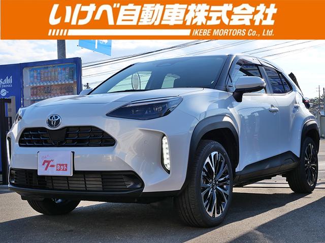 ϿѤ̤Ѽ֤Ǥ ̥˥ţԣáȥҡƥ󥰥ҡ 1