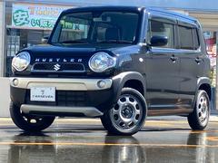 ハスラー G レーダーサポート アイドリングST プッシュスタートスマートキー 盗難警報装置 ダブルエアバック 運転席シートヒーター パワーウィンドゥ ベンチS キーフリーキー 横滑り防止装置付 AC ABS 中古車画像