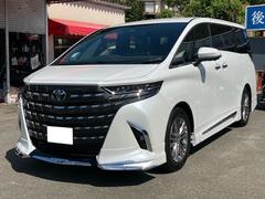 ȥ西եɡڡ£ǯϿѤ̤Ѽ֡ǥꥹ˥С륹ƥå