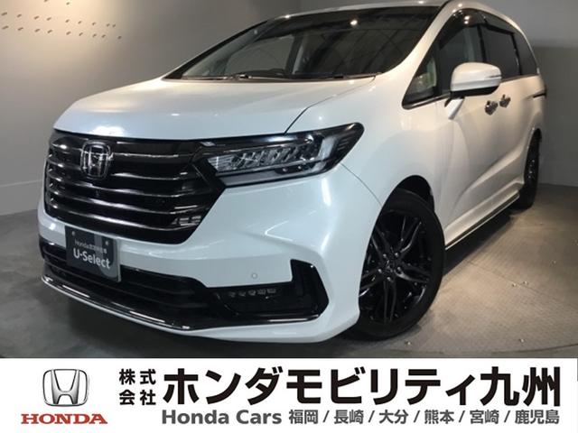 ǥå ֥롼ȡţء꡼ʥӡɥ쥳 0804549A30251204W001 1