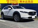 ＣＸ－３０ ２０Ｓ　プロアクティブ　ワンオーナー　ＴＶフルセグ　バックモニター（1枚目）