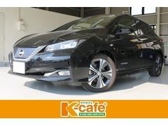 日産　リーフ　Ｇ　ＳＯＨ　最大３８９９ｍｖ最小３８８３ｍｖ　ドライブレコーダー