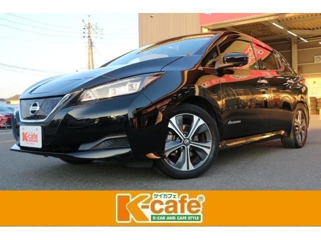 リーフ(日産) Ｘ　Ｖセレクション　ドライブレコーダー　全周囲カメラ　ナビ　ＴＶ　クリアランスソナー　オートクルーズコントロール　衝突被害軽減システム　アルミホイール　オートライト　ＬＥＤヘッドランプ　スマートキー　電動格納ミラー 中古車画像
