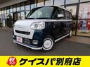 carPhoto