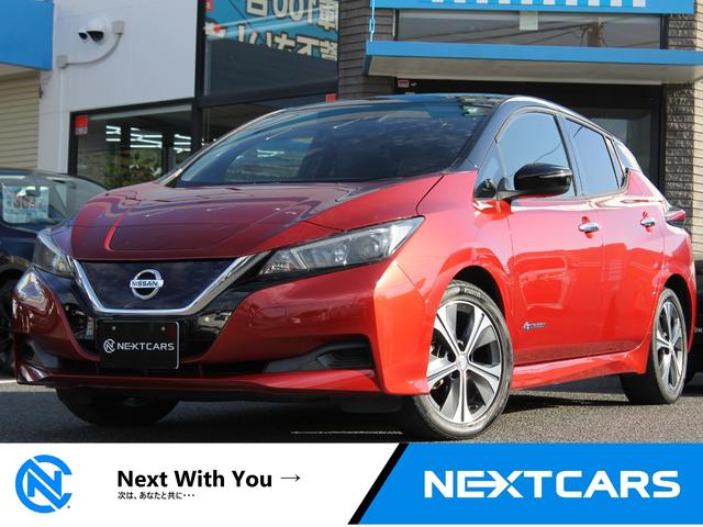 リーフ(日産) Ｘ　プロパイロット・純正メモリーナビ・フルセグＴＶ・ステアリングヒーター・バックカメラ・シートヒーター・オートハイビーム・ブラインドスポットモニター・ＬＥＤヘッドライト・純正アルミ・ＥＴＣ 中古車画像