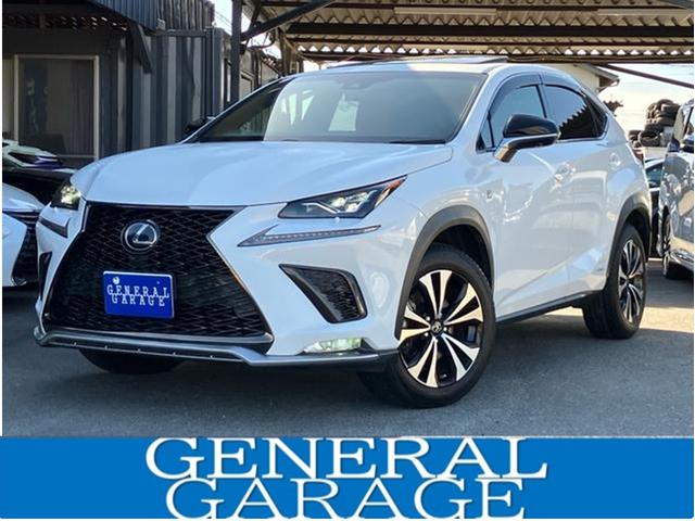 쥶ѥȡ롼աѥɥ륷ե 졼󥢥ȡ£ӣ͡롼ȥ롡ʥӡХå顡£ 1