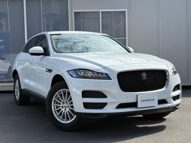 㥬 ƥڥ ץ쥹ơꥢ󥹥ʡʥӡߥۥ