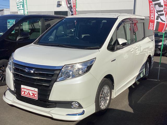 ȥ西 Υ ϥ֥åɣǡɾե륻ʥӣȣģͣɡեåץ˥