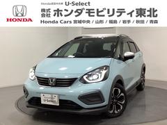 フィット クロスター 光触媒抗菌消臭施工済 パーキングセンサー 地デジ Bカメ スマートキ ナビTV Aストップ USB カーテンエアバッグ クルーズコントロール オートエアコン パワステ Dレコ LEDライト ETC 中古車画像