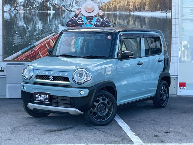  ϥ顼 ե磻ɡףġϥ֥åɡˣʥ