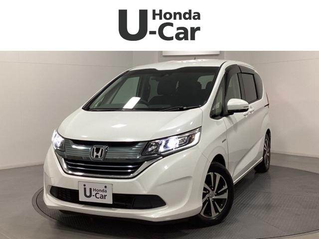 ۥ ե꡼ɥϥ֥å ϥ֥åɡǥۥ󥷥󥰡;ꡡɥ饤֥쥳