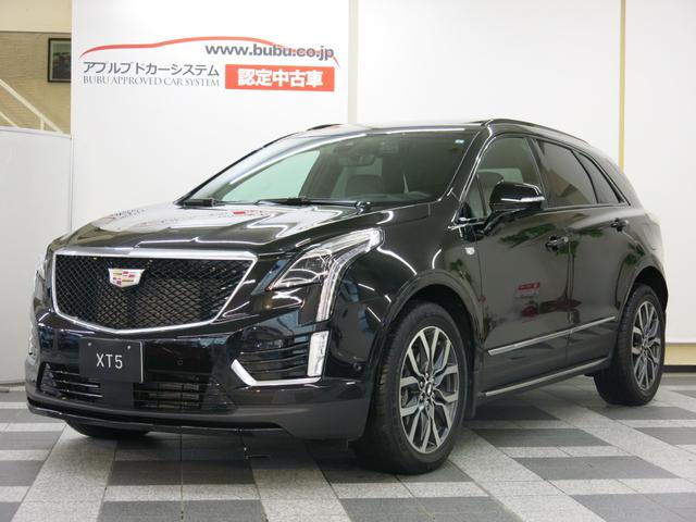 プラチナムスポーツ　当店デモカーアップ・Ｆ＆Ｒドラレコ・ＥＴＣ２．０・ＯＰリフトゲートシルプレート＆アシストステップ＆カーゴマット・セミアニリンレザーシート・ＨＤサラウンドビジョン・ＧＰＳレーダー・純正２０ＡＷ