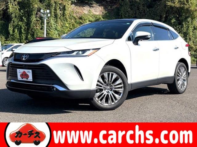 ȥ西 ϥꥢ ڡեƥ󥹡֥饤ɥݥåȥ˥ĴѥΥޥ롼