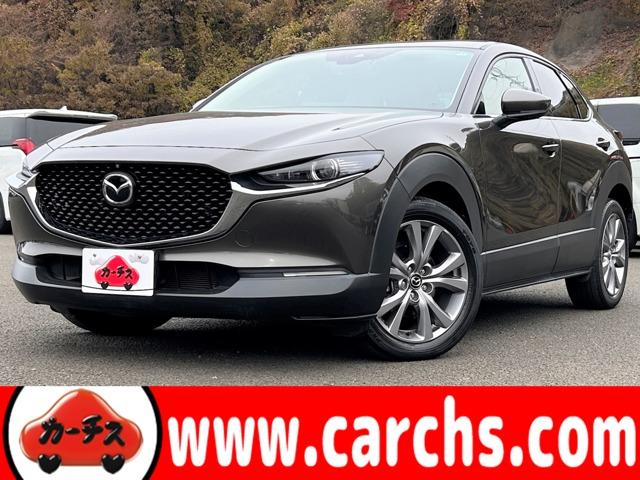 bw|RO(}c_) QOr@kpbP[W@AChOXgbvIX}[gu[LT|[gIuChX|bgj^OIU[V[gIirtZOsucucasIRUOxZ[teBpbP[WIanrdTEhI Îԉ摜