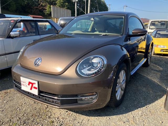 ե륯 ӡȥ 㡼ˡţԣáХå顡ȥ롼ȥ