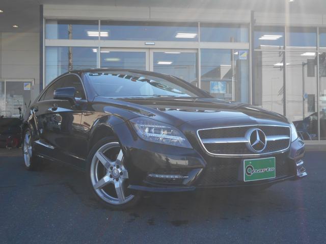 ạ̃ӥ饹 ạ̃ӣ֥롼ե󥷣ͣǥݡĥѥ 0901537A30251207W001 1