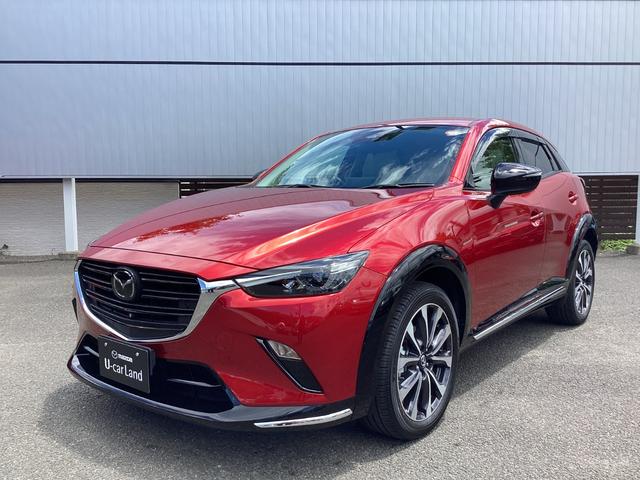 bw|R(}c_) PTr@A[o@hbT[@RUO°j^[@hCuR[_[ Îԉ摜