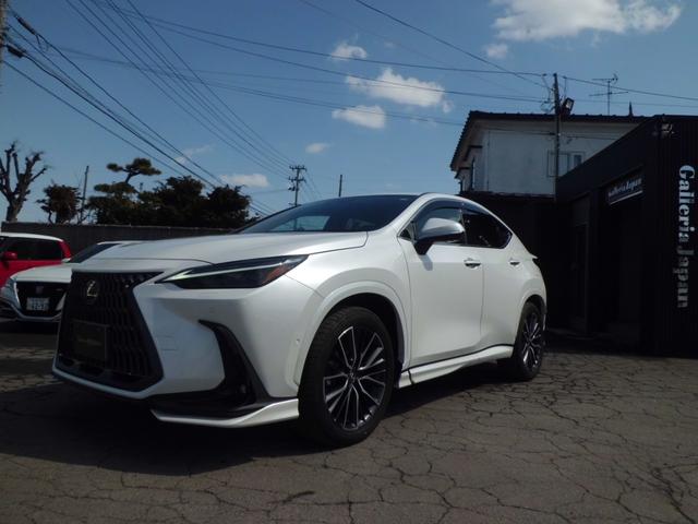 ＮＸ３５０ｈ　バージョンＬ　ハイブリッド　フロアＣＶＴ　４ＷＤ　ＡＢＳ　スマートキー　ヘーゼル本革シート　ナビ　ＴＶ　メーカーオプション２０インチＡＷ　三眼ＬＥＤヘッドライト　社外ドライブレコーダー　ヘッドアップディスプレイ