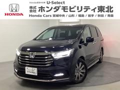 ǥå ֥롼ȡ޹ݾýܹѡ۵ޥ֥졼饦ɥӥ塼˥ޡȥץå她ȡɻߡ֥륨󡡣Уץȡ롼áꥢ顡ţԣʥӣԣ̣֡ţĥإåɥ