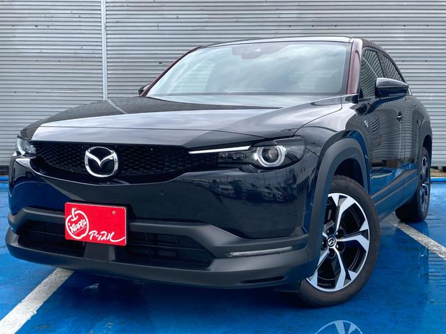 ＦＦ車両　ロータリーＥＶ