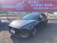 ͣڣģեȥХå ӥץƥ֡ġ󥰥쥯󡡥롼ȥ롡ѥȡɥ󥰥ȥåס饦ɥӥ塼˥