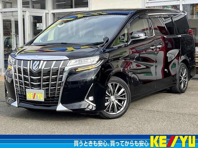 ߤΥܡʥ볫Ţףļ¿Ѱա ߸ˣʾ塪ξ¾ŹʪΦ̵Ǥ󤻲ǽ 1