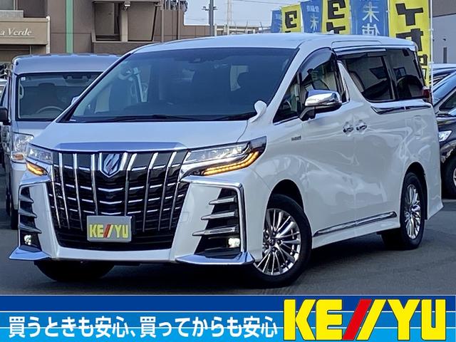 ȥ西 եɥϥ֥å ӣҡåѥåر֡ף