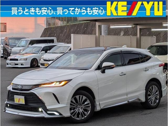 Ϥ̲ǴؤޤǤޤפޤ μΦ̵ˤʤ뤪֤ŹޤǤõޤ 1