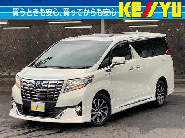 At@[hnCubh(g^) GO[NeBuEW Îԉ摜