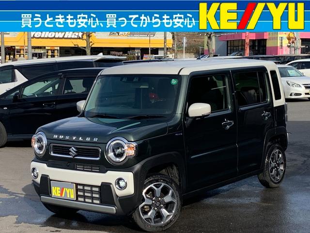 Ϥ̲ǴؤޤǤޤפޤ ݾڤΰѤǽʤ֤ǤܤϥåդޤǤ礻 1