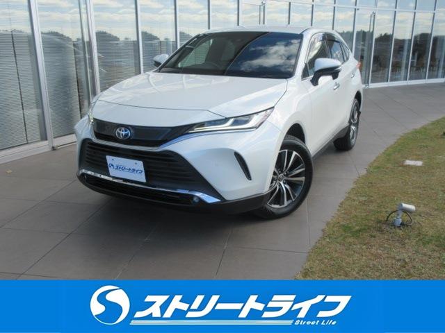 ȥ西 ϥꥢϥ֥å ǡǥץ쥤ǥե륻ԣ֡Хå