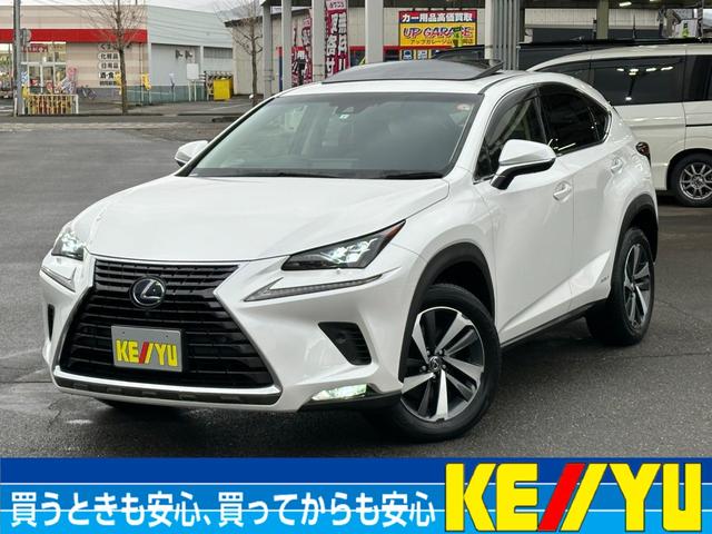 mw(NTX) mwROO@o[Wk@։yT[tEndlzR჉CgyՓˌyT|[g[AVXguChX|bgj^[zyirEtZOsuaڑSʃj^[zwbhAbvfBXvC Îԉ摜